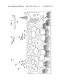 Aerial Forest Inventory System diagram and image