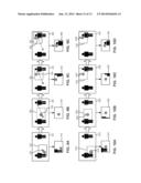 AUTOMATIC PANNING AND ZOOMING SYSTEMS AND METHODS diagram and image