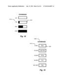 Constraint-Choice-Action Matrix for Decision Making: Apparatus and Method diagram and image