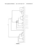 Plants Having Increased Yield-Related Traits and a Method for Making the     Same diagram and image