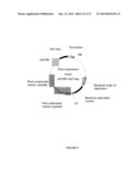 Plants Having Increased Yield-Related Traits and a Method for Making the     Same diagram and image