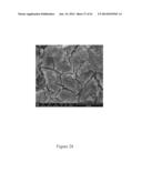 Treated Brine Compositions With Reduced Concentrations of Potassium,     Rubidium, and Cesium diagram and image