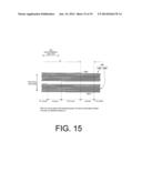 Pneumatic Tire diagram and image