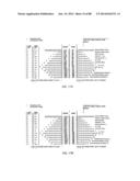 APPARATUS AND METHOD FOR CALCULATING AIMING POINT INFORMATION diagram and image