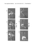 3D MANIPULATION USING APPLIED PRESSURE diagram and image