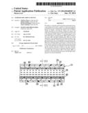 STEREOSCOPIC DISPLAY DEVICE diagram and image