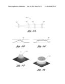 SYSTEM AND METHOD FOR AUTOSTEREOSCOPIC IMAGING USING HOLOGRAPHIC OPTICAL     ELEMENT diagram and image