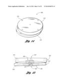 SYSTEM AND METHOD FOR AUTOSTEREOSCOPIC IMAGING USING HOLOGRAPHIC OPTICAL     ELEMENT diagram and image