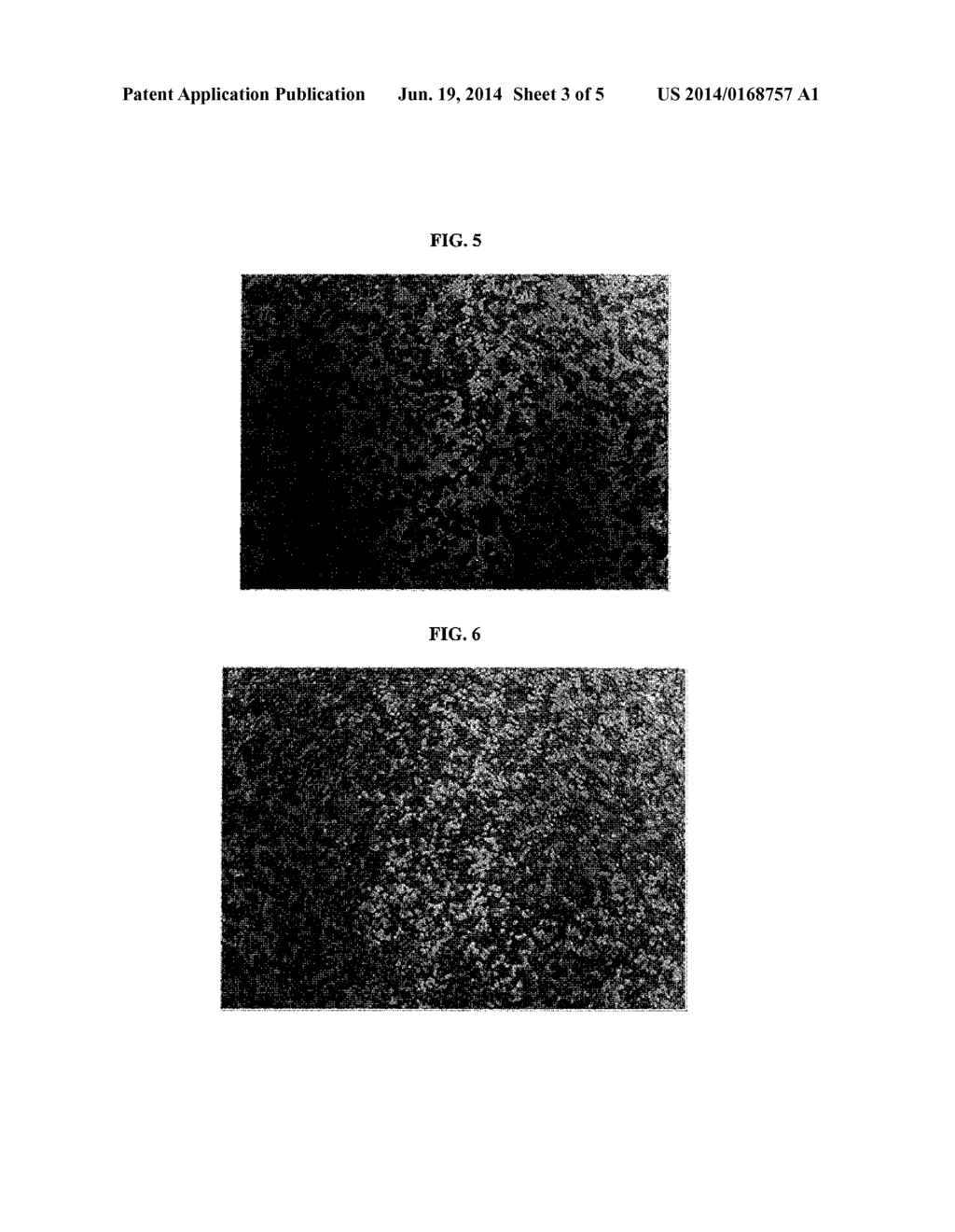 ANTI-GLARE FILM AND METHOD OF FABRICATING THE SAME - diagram, schematic, and image 04