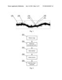 METHOD AND A SYSTEM FOR PROCESSING AN IMAGE COMPRISING DENDRITIC SPINES diagram and image