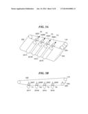 IMAGE FORMING APPARATUS HAVING IMAGE CARRIER AND BELT MEMBER diagram and image