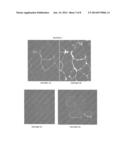 INTEGRIN TARGETING AGENTS AND IN-VIVO AND IN-VITRO IMAGING METHODS USING     THE SAME diagram and image