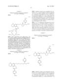 INTEGRIN TARGETING AGENTS AND IN-VIVO AND IN-VITRO IMAGING METHODS USING     THE SAME diagram and image