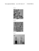 MAGNETIC RESONANCE IMAGING T2 CONTRAST MEDIUM FOR CELL CONTRASTING, AND     METHOD FOR MANUFACTURING SAME diagram and image