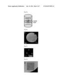 MAGNETIC RESONANCE IMAGING T2 CONTRAST MEDIUM FOR CELL CONTRASTING, AND     METHOD FOR MANUFACTURING SAME diagram and image