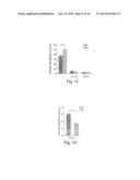 CYTOKINE INDUCTION OF SELECTIN LIGANDS ON CELLS diagram and image