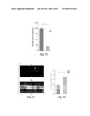 CYTOKINE INDUCTION OF SELECTIN LIGANDS ON CELLS diagram and image