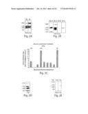 CYTOKINE INDUCTION OF SELECTIN LIGANDS ON CELLS diagram and image