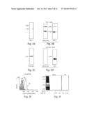 CYTOKINE INDUCTION OF SELECTIN LIGANDS ON CELLS diagram and image