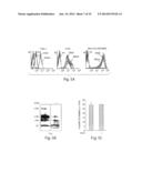 CYTOKINE INDUCTION OF SELECTIN LIGANDS ON CELLS diagram and image