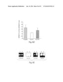 CYTOKINE INDUCTION OF SELECTIN LIGANDS ON CELLS diagram and image