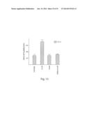 CYTOKINE INDUCTION OF SELECTIN LIGANDS ON CELLS diagram and image