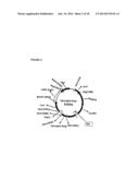 METHODS AND USES OF A MODIFIED CECROPIN FOR TREATING ENDOPARASITIC AND     BACTERIAL INFECTIONS diagram and image