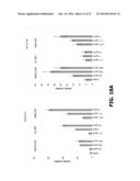 COMPOSITIONS AND METHODS OF USE FOR MGD-CSF IN DISEASE TREATMENT diagram and image
