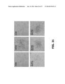 COMPOSITIONS AND METHODS OF USE FOR MGD-CSF IN DISEASE TREATMENT diagram and image