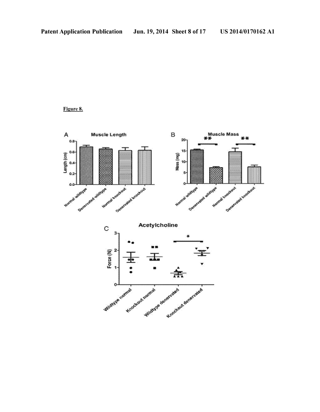 PRESERVATION OF THE NEUROMUSCULAR JUNCTION (NMJ) AFTER TRAUMATIC NERVE     INJURY - diagram, schematic, and image 09