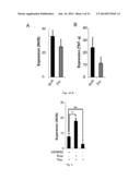 METHODS OF GENERATING HYPER INOS EXPRESSING CELLS AND USES THEREOF diagram and image