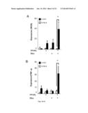 METHODS OF GENERATING HYPER INOS EXPRESSING CELLS AND USES THEREOF diagram and image