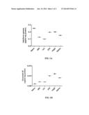 ANTIGEN BINDING PROTEINS THAT BIND PAR-2 diagram and image