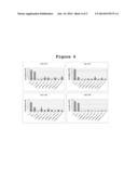 P16INK4A DERIVED PEPTIDES FOR PROPHYLAXIS AND THERAPY OF HPV-ASSOCIATED     TUMORS AND OTHER P16INK4A EXPRESSING TUMORS diagram and image