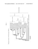 PORCINE PARVOVIRUS 5A, METHODS OF USE AND VACCINE diagram and image