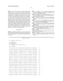 PORCINE PARVOVIRUS 5A, METHODS OF USE AND VACCINE diagram and image