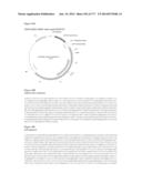 VIRUS-LIKE PARTICLES AND METHODS OF USE diagram and image