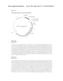 VIRUS-LIKE PARTICLES AND METHODS OF USE diagram and image