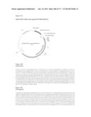 VIRUS-LIKE PARTICLES AND METHODS OF USE diagram and image