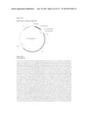 VIRUS-LIKE PARTICLES AND METHODS OF USE diagram and image