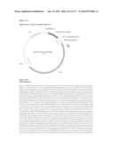 VIRUS-LIKE PARTICLES AND METHODS OF USE diagram and image