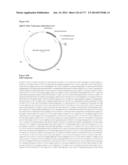 VIRUS-LIKE PARTICLES AND METHODS OF USE diagram and image