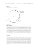 VIRUS-LIKE PARTICLES AND METHODS OF USE diagram and image