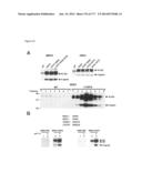 VIRUS-LIKE PARTICLES AND METHODS OF USE diagram and image