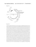 VIRUS-LIKE PARTICLES AND METHODS OF USE diagram and image