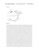 VIRUS-LIKE PARTICLES AND METHODS OF USE diagram and image