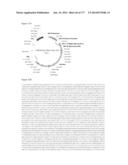 VIRUS-LIKE PARTICLES AND METHODS OF USE diagram and image