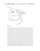 VIRUS-LIKE PARTICLES AND METHODS OF USE diagram and image