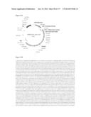 VIRUS-LIKE PARTICLES AND METHODS OF USE diagram and image