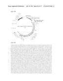 VIRUS-LIKE PARTICLES AND METHODS OF USE diagram and image